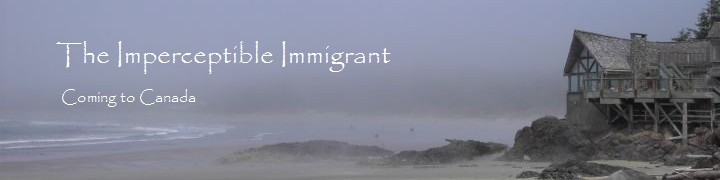 The Imperceptible Immigrant